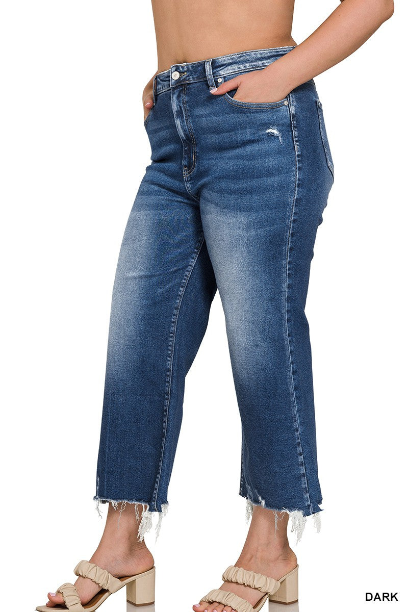 Dylan Mid Rise Plus Size Jeans